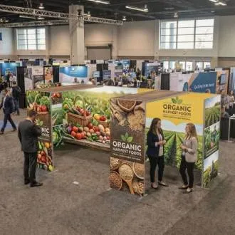 Multi-Panel Exhibit Environments