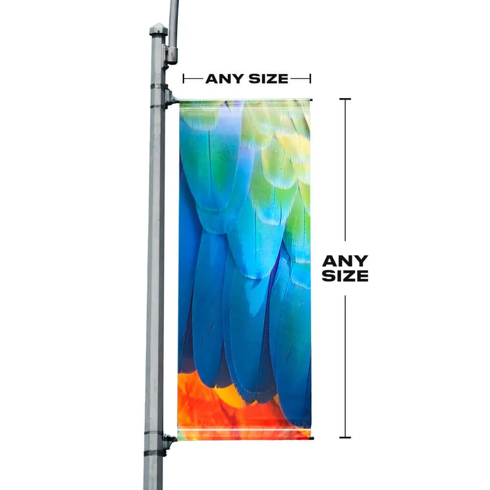 Single Sided, Left Facing Image