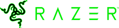 Case Study Razer